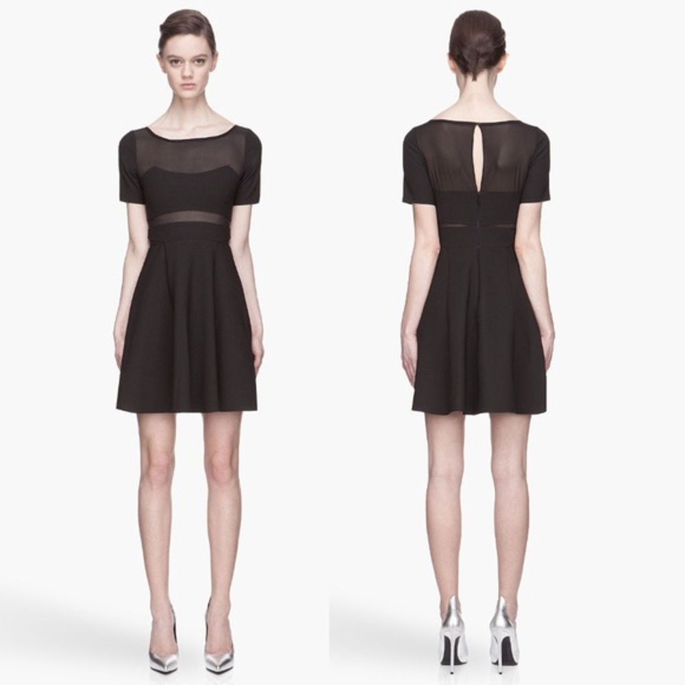 Elizabeth and James Selena Black Mesh Dress